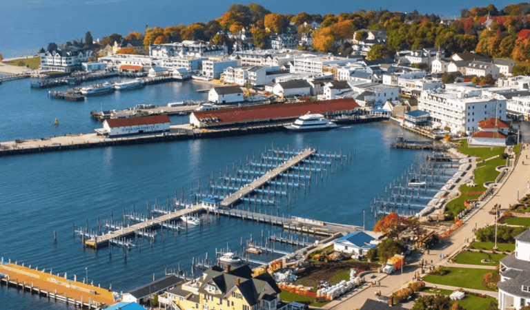 Aerial view of a marina with boats and waterfront buildings in Michigan.